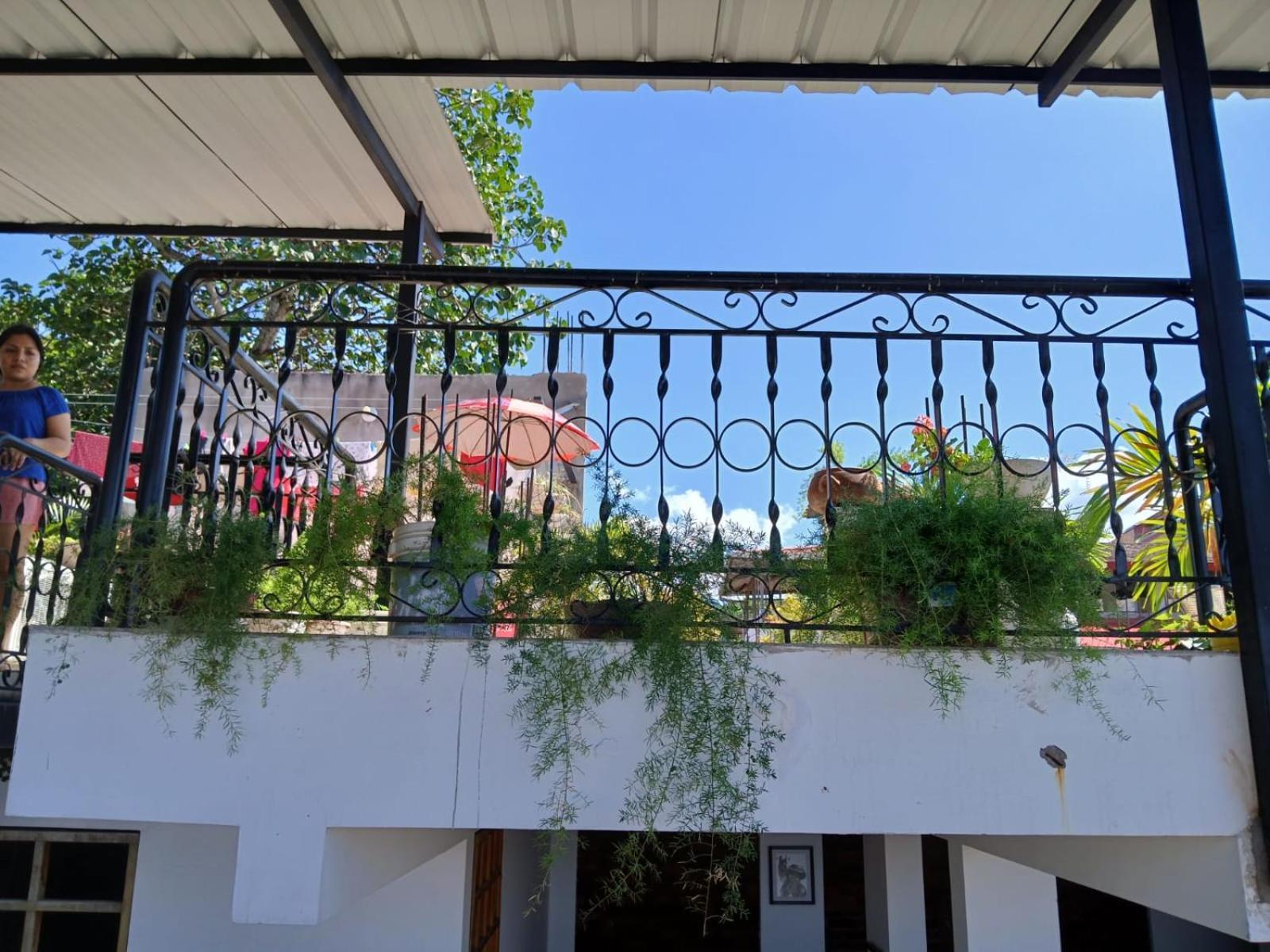 Alojamiento Familiar Custodia Tarapoto Esterno foto