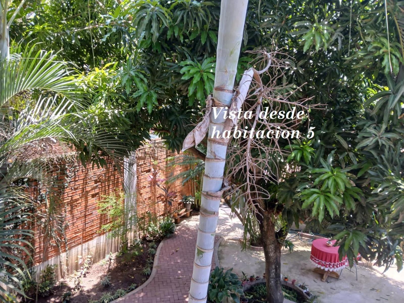 Alojamiento Familiar Custodia Tarapoto Esterno foto